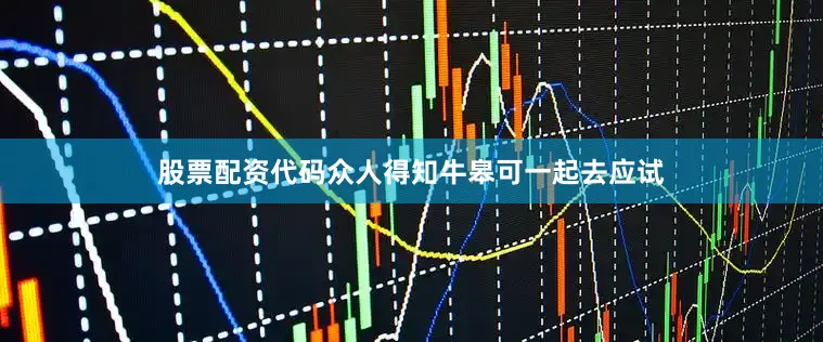 股票配资代码众人得知牛皋可一起去应试